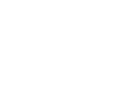 Celegrating 100 years